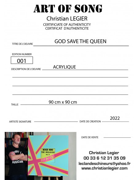 SEX PISTOL PUNK MUSIC VINYL POPARRT