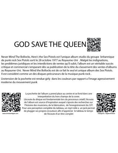 SEX PISTOL PUNK MUSIC VINYL POPARRT