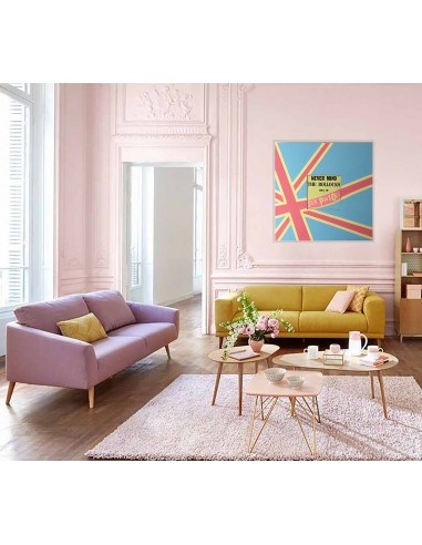 SEX PISTOL PUNK MUSIC VINYL POPARRT