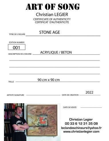 THE ROLLING STONES MUSIC VINYL ART POPART