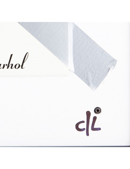 VELVET UNDERGROUND ANDY WARHOL MUSIC ART