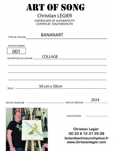 VELVET UNDERGROUND ANDY WARHOL MUSIC ART