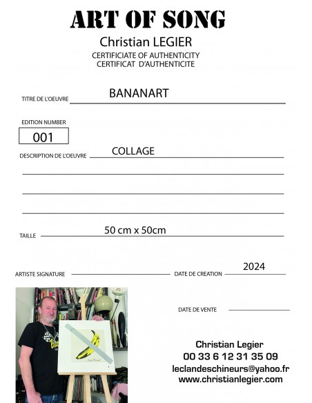 VELVET UNDERGROUND ANDY WARHOL MUSIC ART