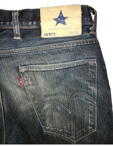 DENIM LEVI'S BLUE LINE n°29