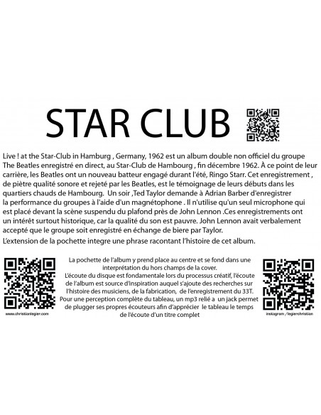 THE BEATLES VINYL MUSIC ART POPART