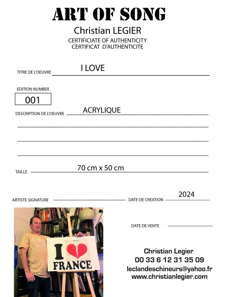 MICHEL BERGER  VYNIL MUSIC POP ART