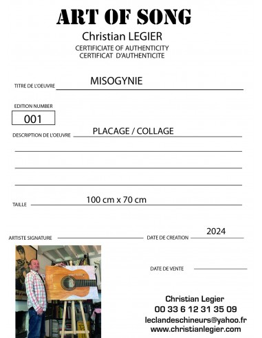 BRASSENS MUSIC ART VINYL