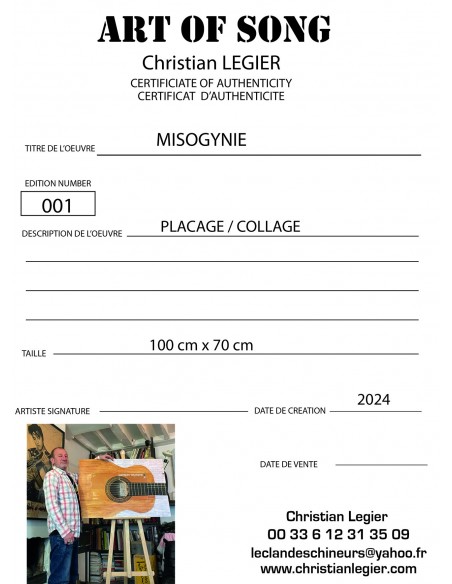 BRASSENS MUSIC ART VINYL