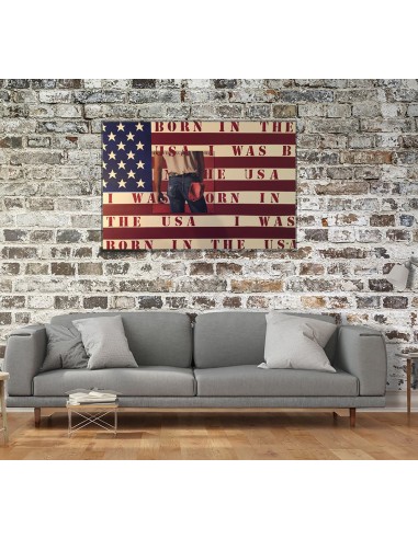 BRUCE SPRINGSTEEN POPART VINYL