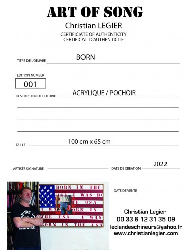 BRUCE SPRINGSTEEN POPART VINYL