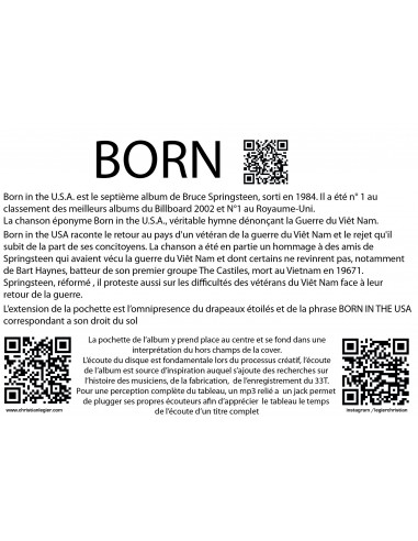 BRUCE SPRINGSTEEN POPART VINYL