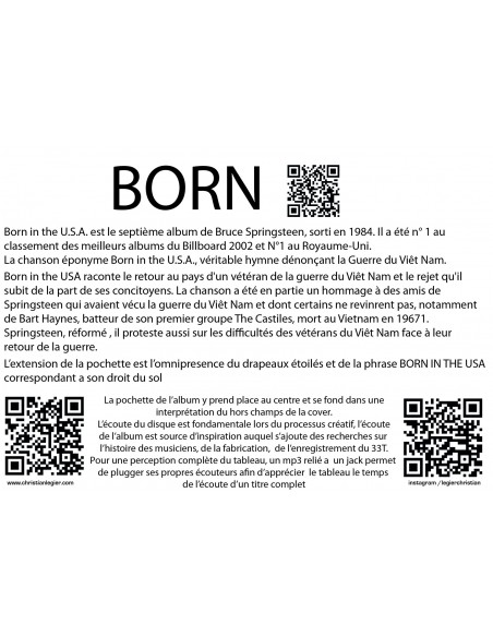 BRUCE SPRINGSTEEN POPART VINYL