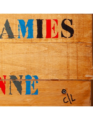 FRANCOISE HARDY MUSIC VINYL POPART