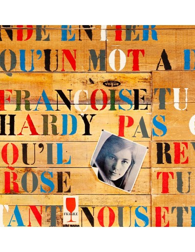 FRANCOISE HARDY MUSIC VINYL POPART