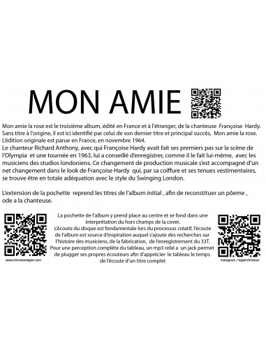 FRANCOISE HARDY MUSIC VINYL POPART