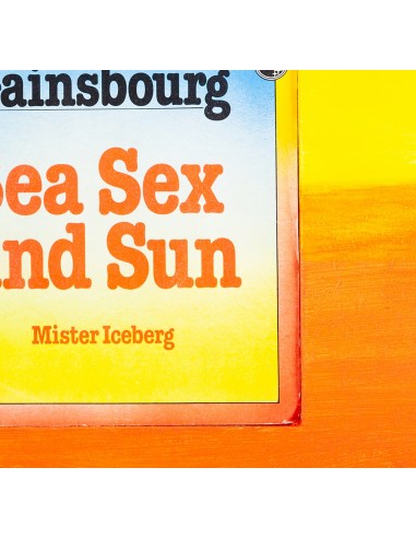 GAINSBOURG VINYL MUSIC ART