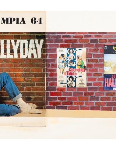 JOHNNY HALLIDAY MUSIC VINYL ART