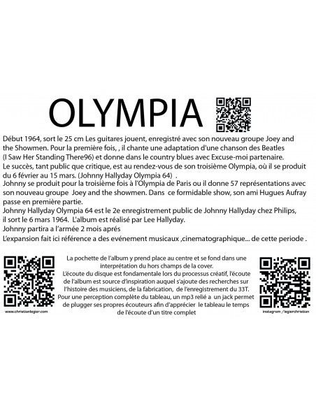 JOHNNY HALLIDAY MUSIC VINYL ART